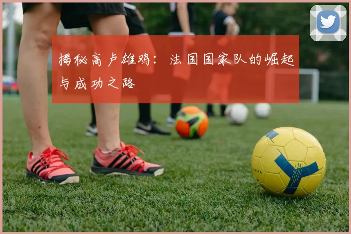 揭秘高卢雄鸡:法国国家队的崛起与成功之路