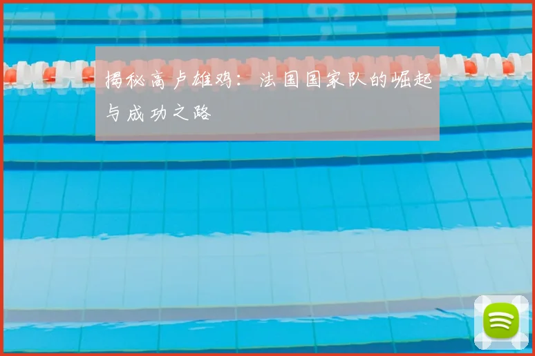 揭秘高卢雄鸡：法国国家队的崛起与成功之路